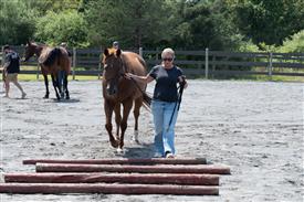 LR-WRF 08022025-Retreat-3355